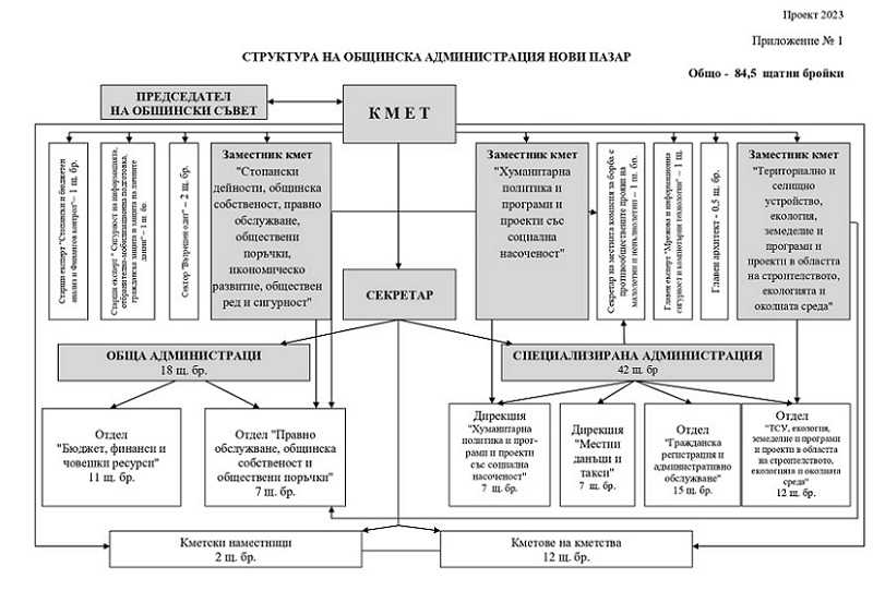 Структура на Община Нови пазар